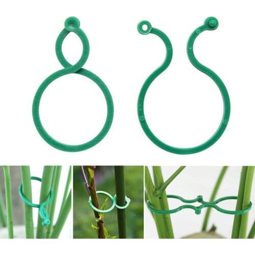 Buckle Plant Clip Fruit Garden Tools Vegetable Holder Vine PE Hook 50pcs Reusable Fastener Greenhouse Grafting Clips