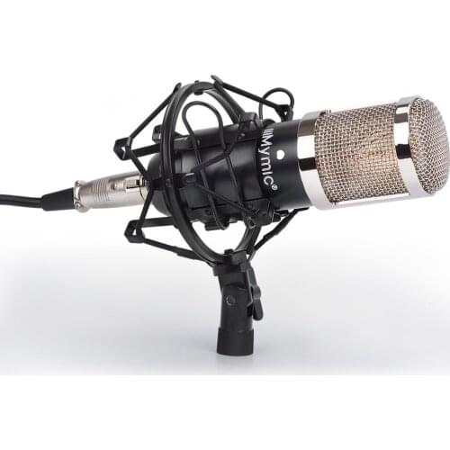 I-TWO Condenser Microphone !! Professional 34mm Large Diaphragm Studio Vocal Mic with Metal Stand for Recording