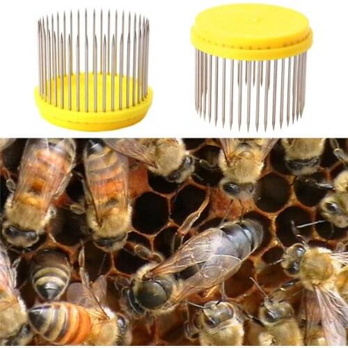 2PCS Beekeeping Tools Stainless Steel Bee Queen Cap For Queen Cage High Quality Beekeeping Equipment Supplies Beekhive equipment