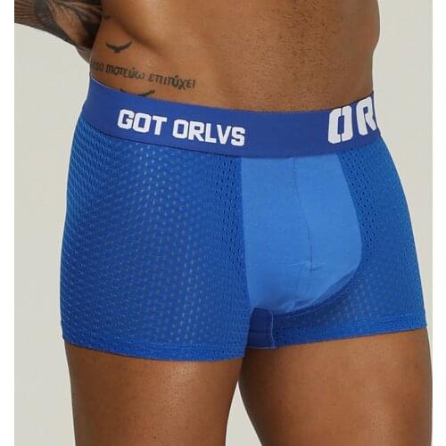 ORLVS Mesh Boxershorts Men Comforable Panties Set Gay Sexy Underwear Man Boxer4Color Free Shipping 2021Hot M/L/XL/XXL OR207