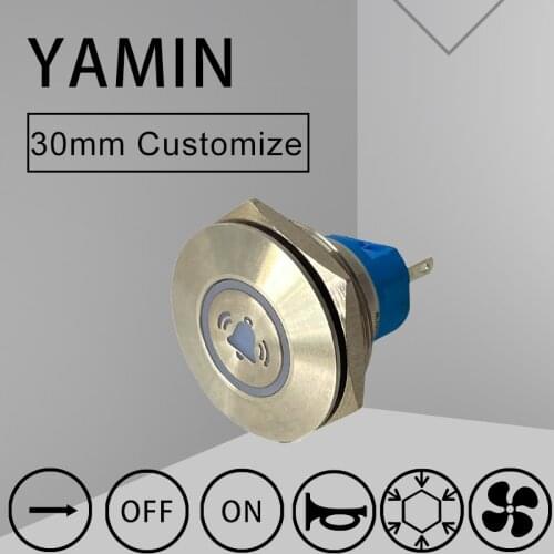 30mm 1NO 1NC Luminous Character Metal Push Button Switch Lettering Start Stop Power Supply Laser Fix Or Reset Custom 5A 250VAC