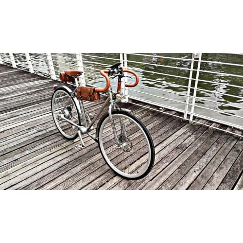 Retro Vintage Electric Road Bike 350W Shaft Drive Stainless Steel Frame