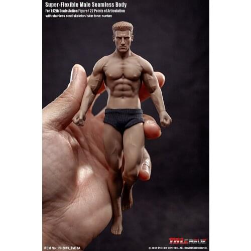 TBLeague PH 1/12 Super-Flexible Male Seamless Body for 1:12th Scale Action figure With Stainless Steel Skeleton