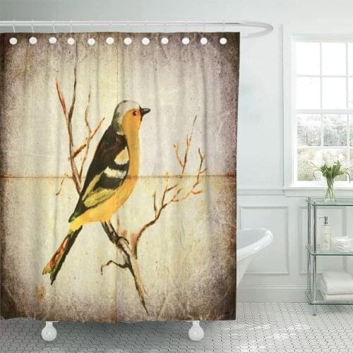 Colorful Bird of Our Area Tempera Painting on Old Shower Curtain Waterproof Polyester Fabric 60 x 72 Inches Set with Hooks
