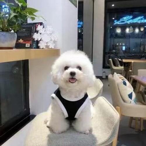 New Arrival Pet Dog Vest T-shirt Undershirt Clothes For Small Dogs Schnauzer French Bulldog Pug Costume Dropshipping HCC01