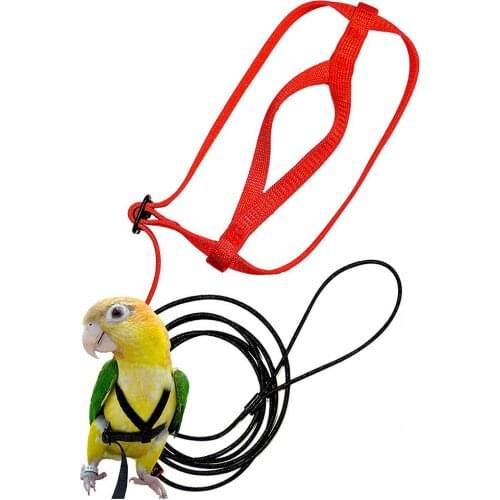 Parrot Harness and Leash Flying Anti-bite Traction Rope bird Training Outdoor Carrying for Psittacus Erithacus Scarlet Macaw Par