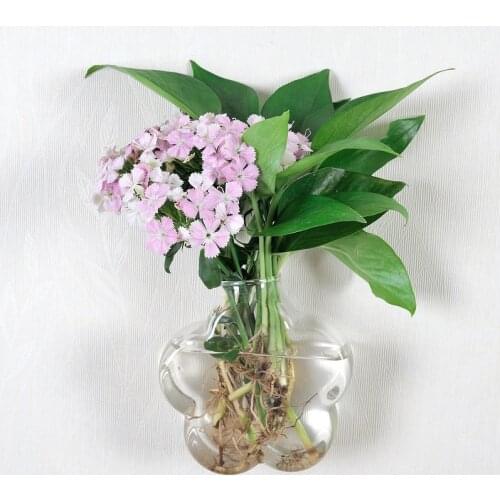 Creative wall-hanging glass vase hydroponic simple transparent wall decoration green dill home decoration