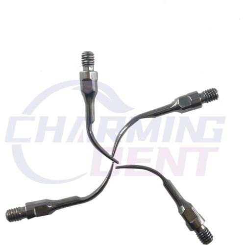 Dental Ultrasonic Scaler Tip GS1, GS2, for Sirona Supragingival Calculus Removal Teeth Cleaning Tool Dental Ultrasonic Scaler