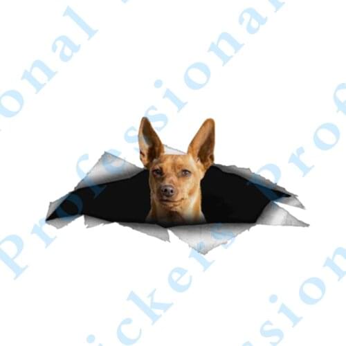 3D Animal 13 x 4.8 Lovely Car Chewbacca Sticker Torn Metal Decal Wild Animal Lovely Car Stickers Motorcycle Vinyl 3D Car Styling