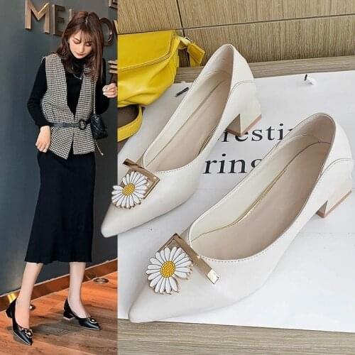 2020 spring and autumn new small daisy shallow mouth pointed single shoes thick heel retro mid-heel single shoes female X375