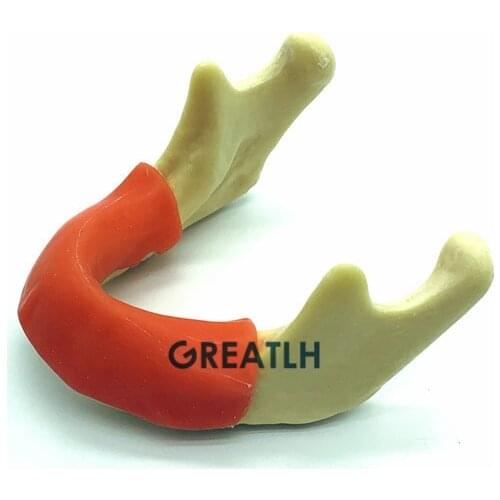 Mandible Jaw With Soft Tissue with gum Implant practise Teeth model for Dental Training model Tool
