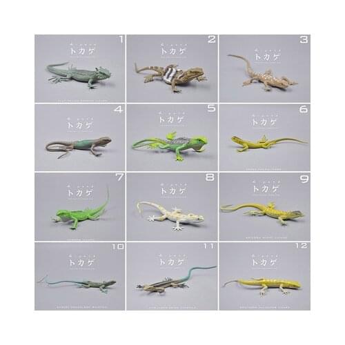 Small pvc figure Simulation animal model wild crawling lizard gecko chameleon toys Dolls Decoration 12 pcs/set