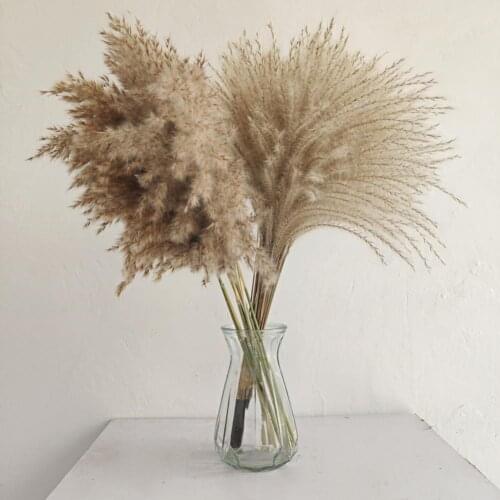1 Bouquet Whisk Reed Dried Flowers Dry Flower Natural Home Decoration Portable Nordic Phragmites Dried Flower for Wedding