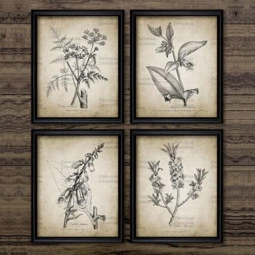 Modular Prints Pictures Home Decoration Nordic Style Botanical Vintage Plants Paintings Canvas Poster Modern Bedroom Wall Art