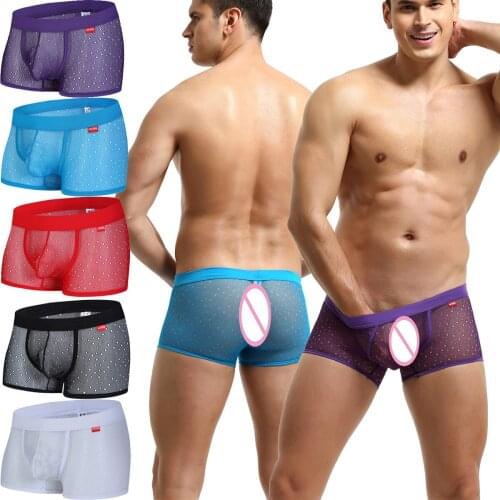 1/3/5PCS Mens Underwears Penis Pouch Sheer Boxers Breathable Men Lingerie Underpants Male Panties Boxers Sleepwear Mens Shorts