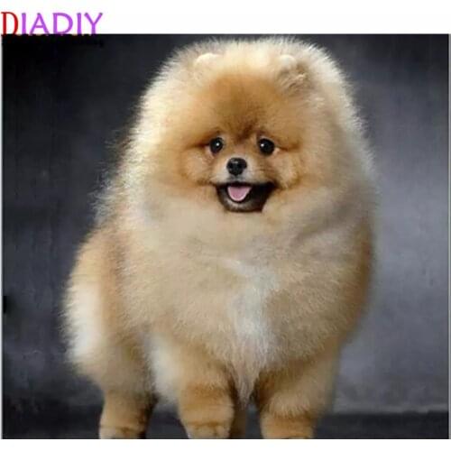 Diamond Painting dog DIY Diamond Embroidery Pomeranian 5D Round Mosaic full Pictures by numbers Rhinestones Gray puppy