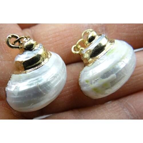 New Fashion Conch Shell Sea SHELL Gem PENDANT Beads Making jewelry 6pcs P373
