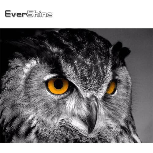 EverShine 5D Diamond Painting Full Square Owl Cross Stitch Diamond Embroidery Animals Rhinestones Art Decoration For Home