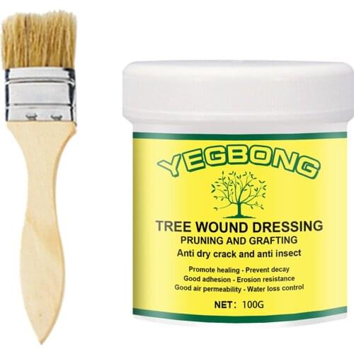 Tree Wound Pruning Sealer & Grafting Compound 30/100/300g Wound Dressing with Brush for Bonsai Branch UD88