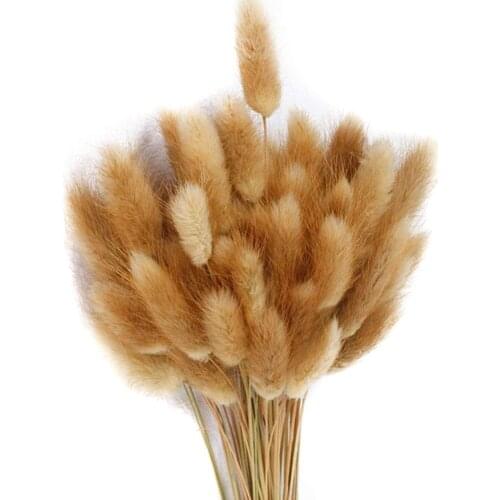 Dried Flower Bouquet Artificial Lagurus Ovatus Decoration for Home Hotel Wedding GQ