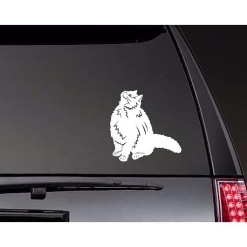 Cat Looking Up Stickers Decal Car Auto Bumper Bike Decor Unique Art Pattern ZP0302