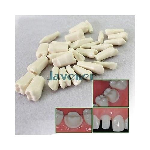 28pcs 1:1 Dental Tooth Preparation Model Tooth Teaching Model Tooth Grain