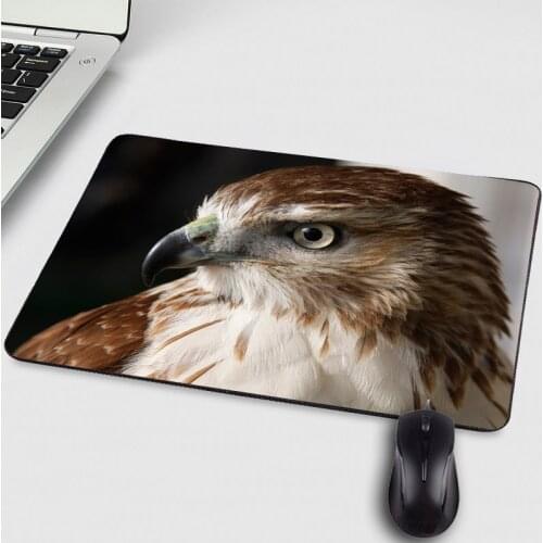 210x260x2MM Small Size Animals Falcon Pc Computer Game Mousepad For Decorate Your Desktop For Game Player Lol Dota Csgo