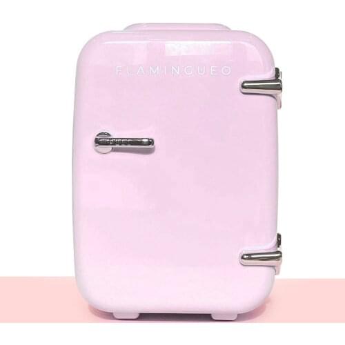 Flamingueo Mini Fridge 4L Makeup Fridge 12V/220V Cooler and Warmer Mini Fridge Cosmetic Beauty Fridge Skincare Fridge Mini Fridge for Room