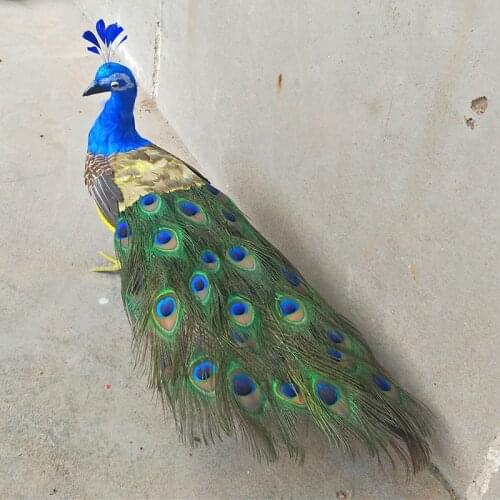 Cute real life beautiful peacock model foam&feather peacock bird gift about 60cm d0044