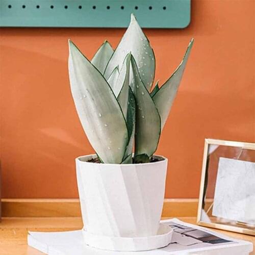 1 PC Nordic Minimalist Desktop Resin Fleshy Thick Plastic Flower Pot Potted Ceramic White Pink Plue Suit