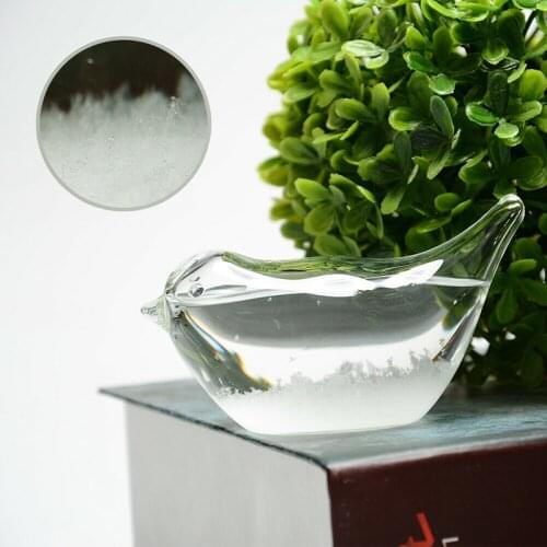 Weather Forecast Glass Water Bottle Base Christmas Table Decoration for Home Office A1