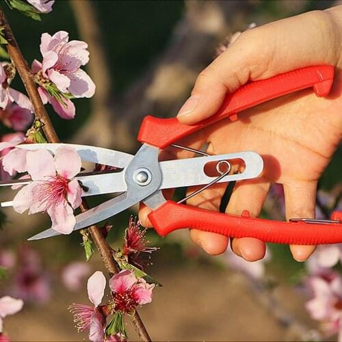 Double-port Fruit And Flower Thinning Shears Fruit Picking Shears Gardening Pruning Shears Fruit Tree Multi-use Pruning Tools