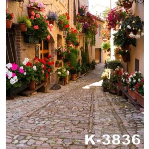 Old Town Potted Flower Vine Alley Corridor House Scenic Photo Backgrounds Photography Backdrops For Photo Studio