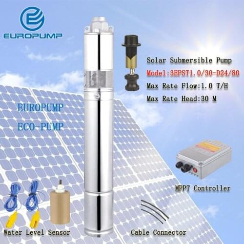 EUROPUMP MODEL(3EPST1.0/30-D24/80) Solar Submersible Deep Well Pumps,Solar Water Pump For Garden Irrigation