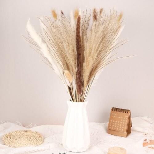 1Set White Artificial Boho Home Decor Natural Phragmites Communis Dried Flowers Wedding Holiday Party Decor