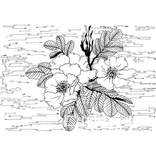 DABOXIBO Water Ripple Flower Clear Stamps Mold For DIY Scrapbooking Cards Making Decorate Crafts 2021 NEW Arrival