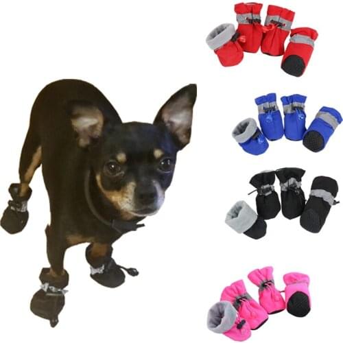 HGIRXV Pet Supplies