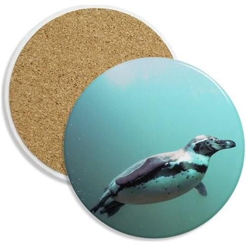 Sea Antarctic Penguin Creature Science Nature Ceramic Coaster Cup Mug Holder Absorbent Stone for Drinks 2pcs Gift