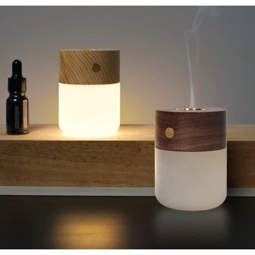 Creative LED Aromatherapy Night Light To Help Sleep and Calm The Spirit Lamp USB Plug Radio Light Home Decoration Gifts