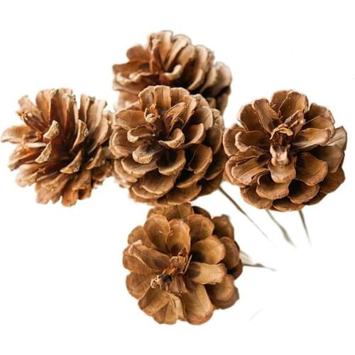 5pcs Hand selected all natural premium quality brown pine cones winter holiday home decor vase filler