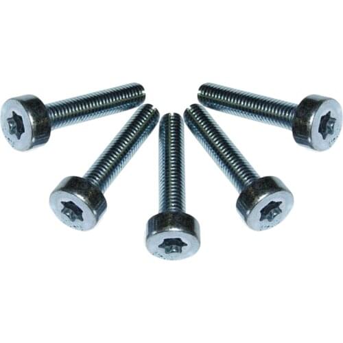 5pcs/Pack M5 x 25mm T27 Torx Screws for TS400 TS410 TS420 Cut Off Saws Replacement Screws