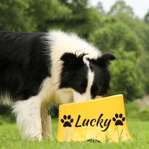 Dog Feeder Drinking Bowls For Dogs Cats Pet Food Bowl Pet Bowl With Stand Dishwasher Safe Puppy Feeding Stainless Steel Malemine