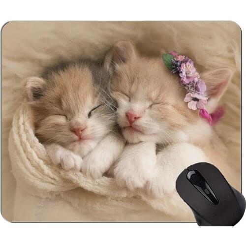 Mouse Pad with Stitched Edge,Sleeping animal cute cat Home Office Computer Accessories Mousepads