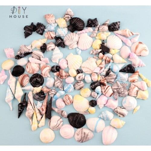 10-50Pcs Ocean Shell Flat Back Resin Arts DIY Craft Supplies Phone Shell Patch Ornament Kids Headwear Hair Accessories Gift Toys