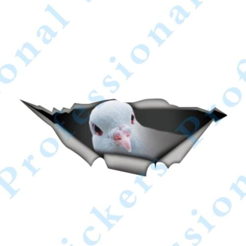 3D Animal 13 x 5.1 Indian Ringneck sticker Laptop Decal 3D Graphic Vinyl Decal Car Motorcycle Laptop Vinyl Animal Car Stickers
