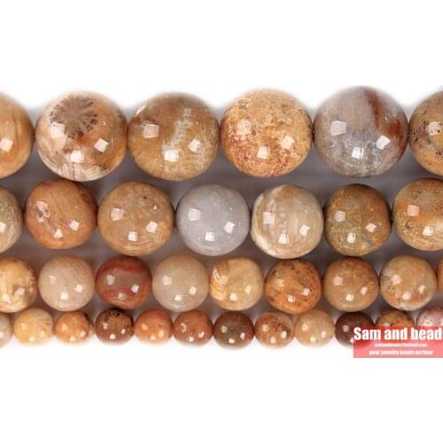 Natural Stone 5A Chrysanthemum Coral Fossils Round Loose Beads For Jewelry Making DIY Bracelets Necklace 15'' 4/6/8/10/12mm