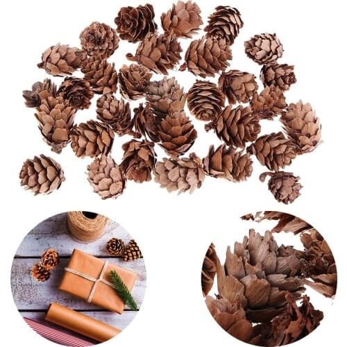 120pcs Natural Decorative Pine Cones Pinecone for Florists Crafts Decoration