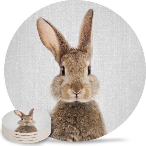 Rabbit Colorful Placemats for Table Kitchen Coffee Table Decor Accessories Ceramic Coasters
