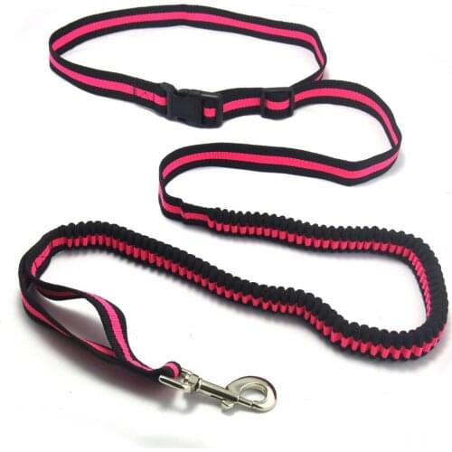 Durable Dog Leash and Collar Set - Bungee Shock Absorber -Traffic Lead -Extra Safe and Comfy for Small to Large Dogs, Width 2cm