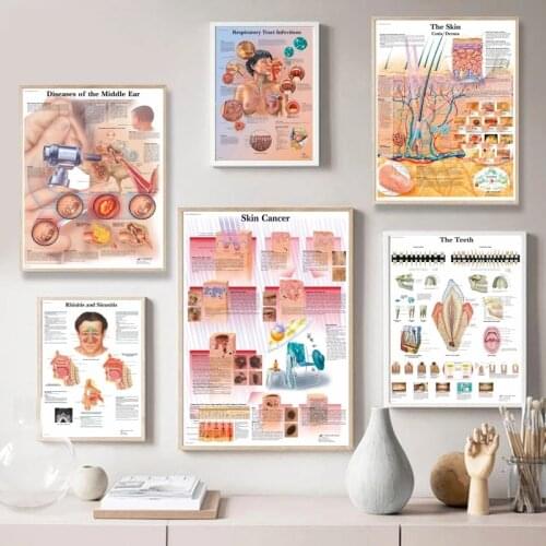 Map Silk Painting Wall Pictures For Medical Education Office Home Decor Human Anatomy Muscles System Body Art Poster Canvas